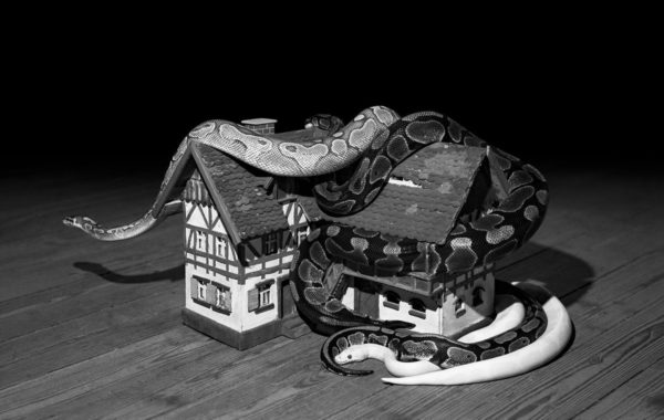 © Elena Helfrecht