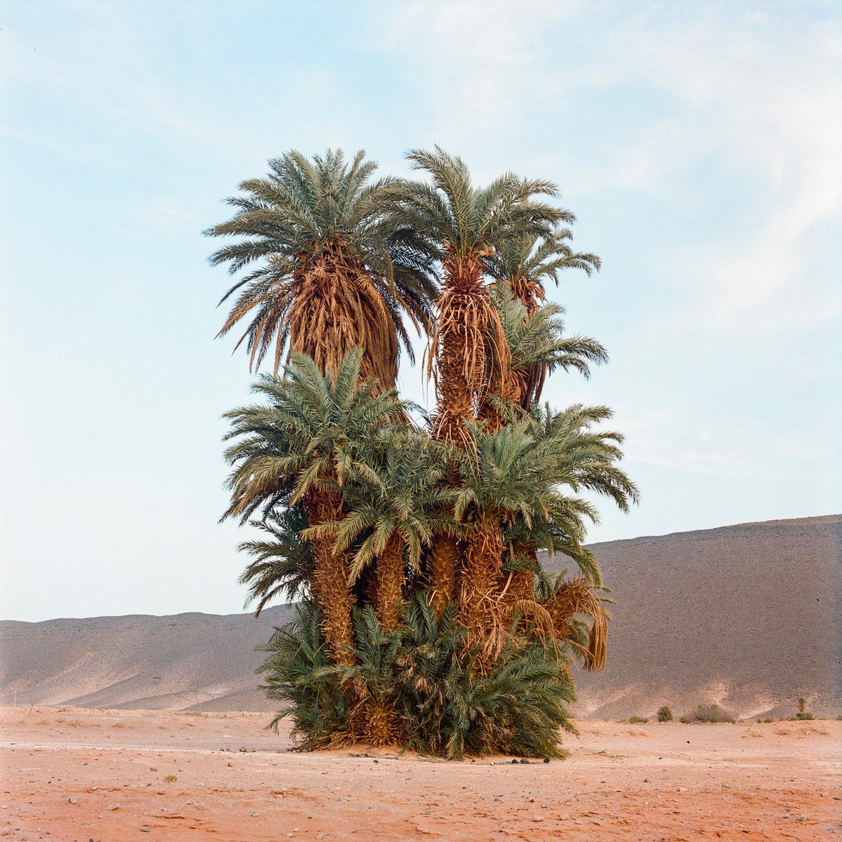 © M'hammed Kilito