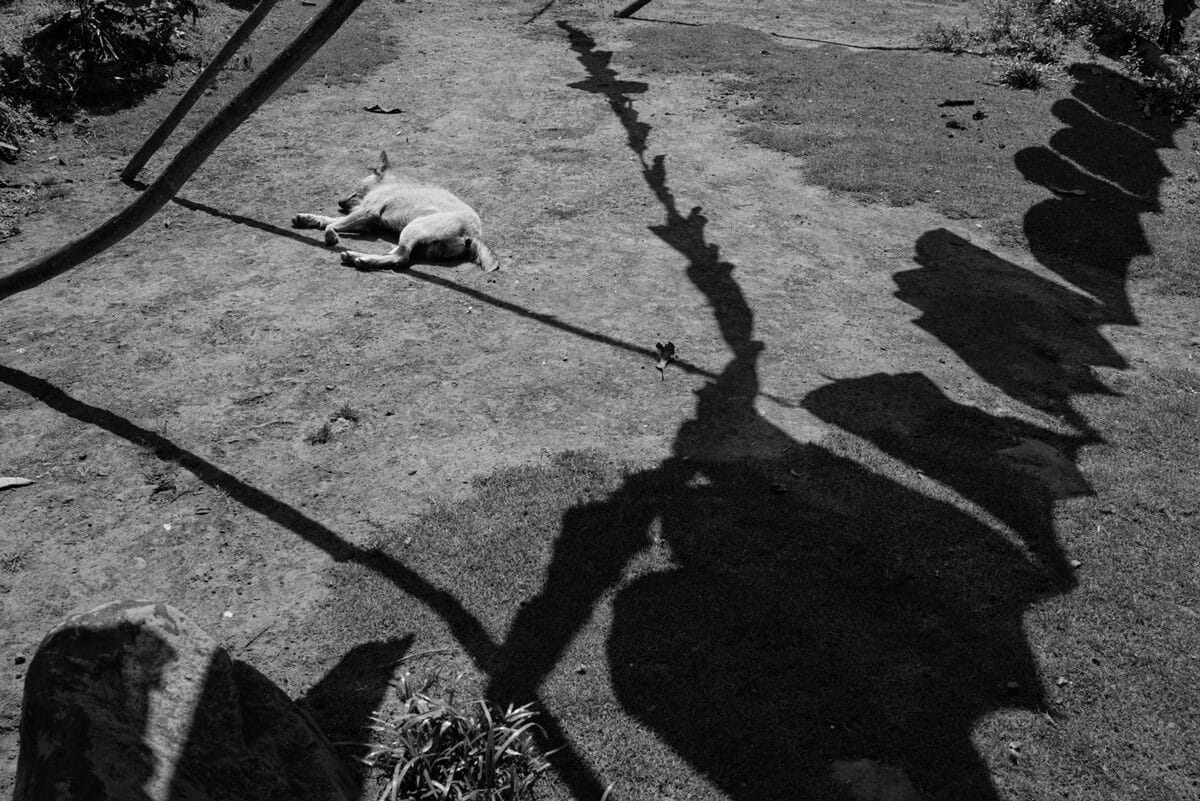 © Richard Sharum