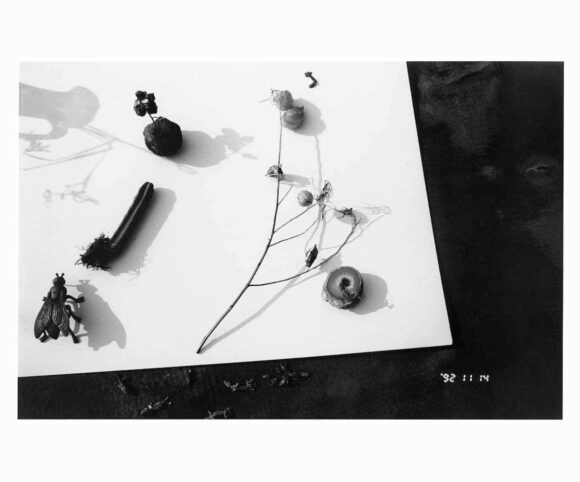© Nobuyoshi Araki
