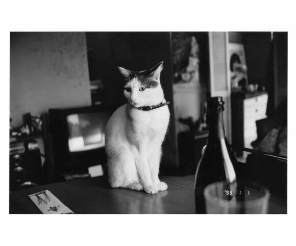 © Nobuyoshi Araki