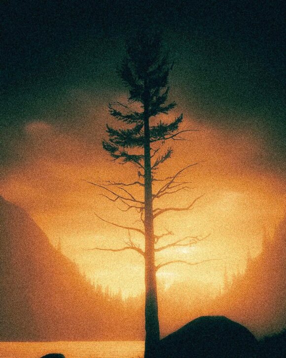 © Nocturneshadows_ / Instagram