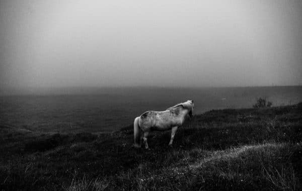 © Sébastien Van Malleghen