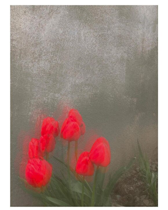 © Vanessa Wall / Instagram