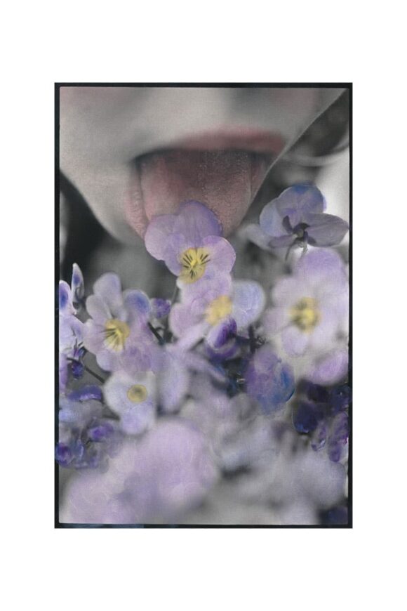 © Éloïse Labarbe-Lafon