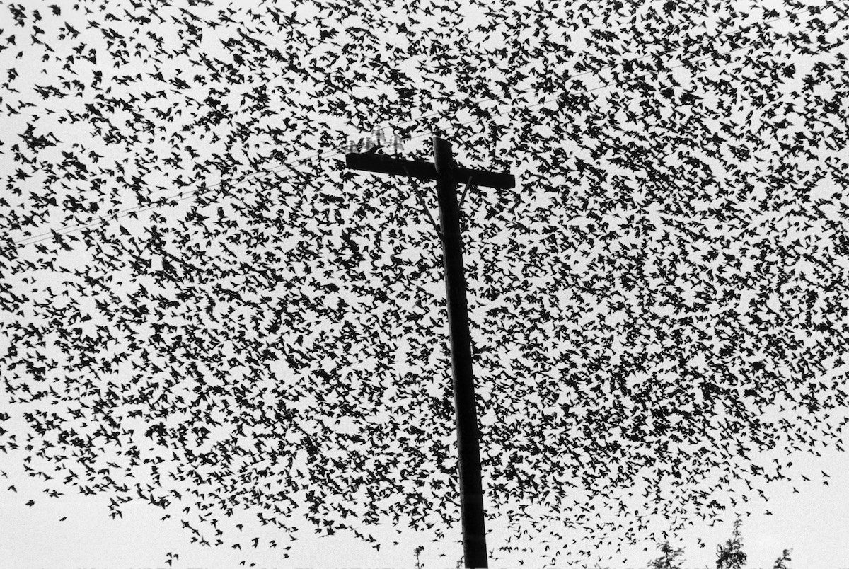 © Graciela Iturbide