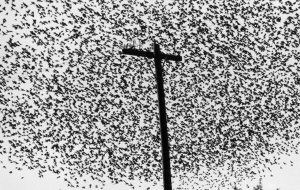 © Graciela Iturbide