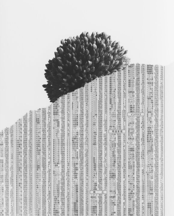 © Adrien Dubost