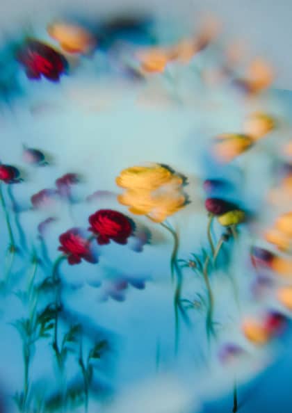 © Georgie Kontodimou