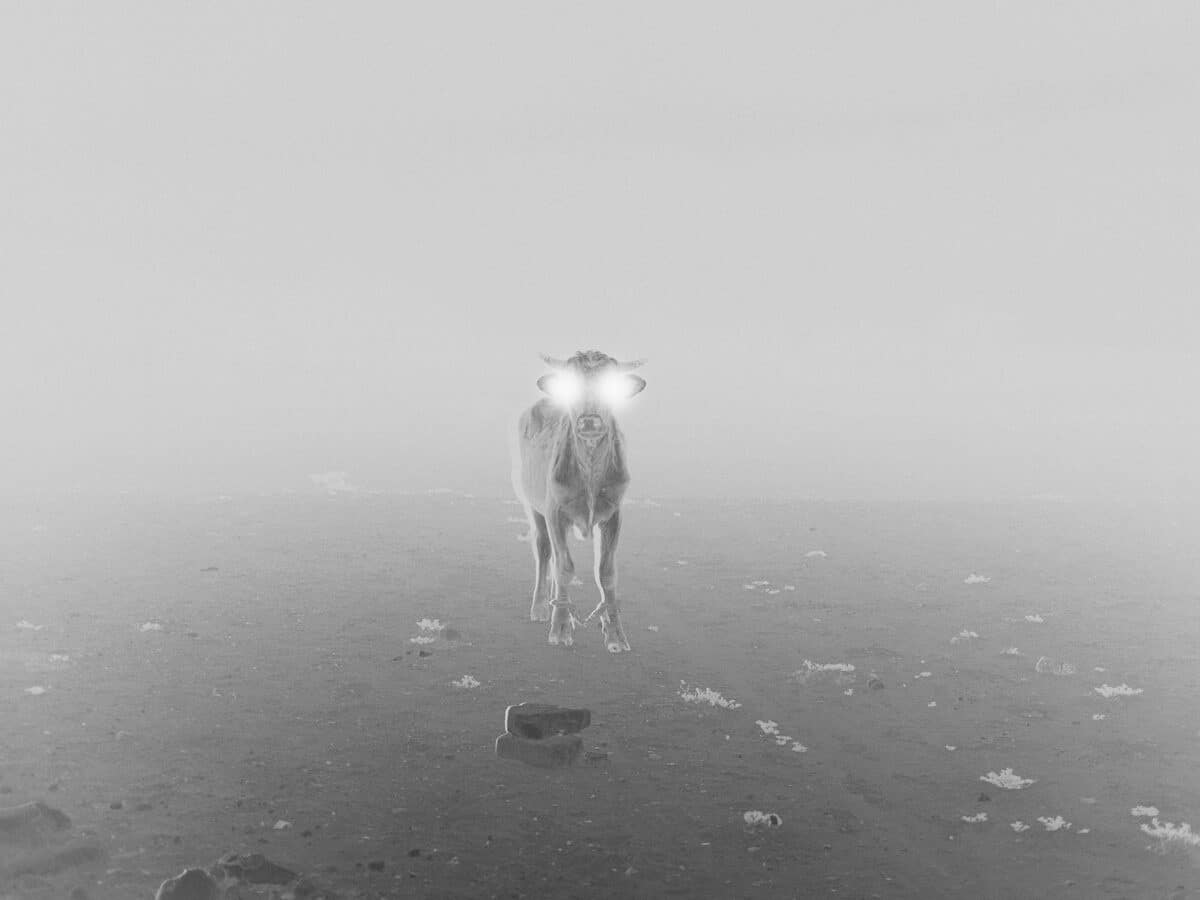 © Julien Lombardi