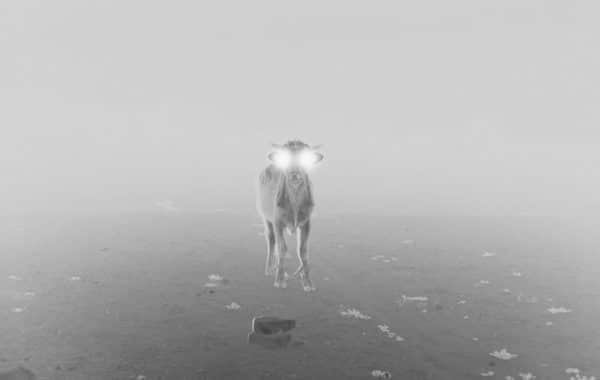 © Julien Lombardi