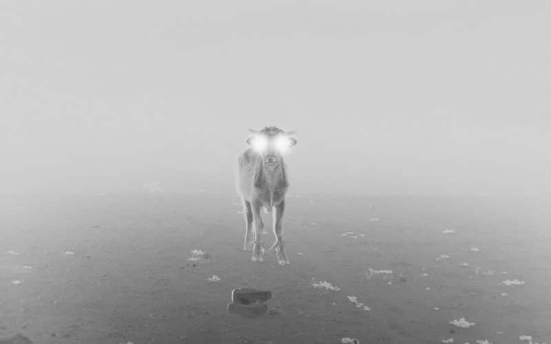 © Julien Lombardi