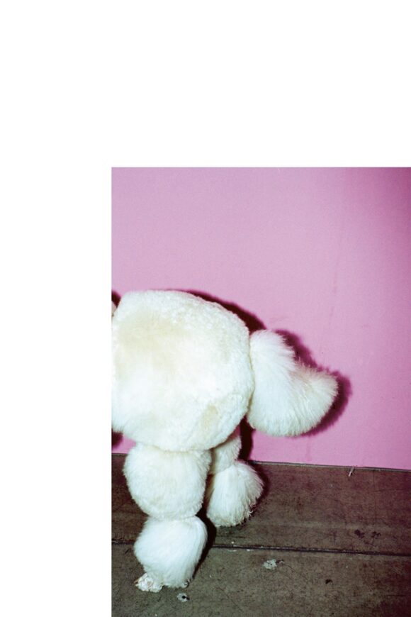 © Kenya Sugai