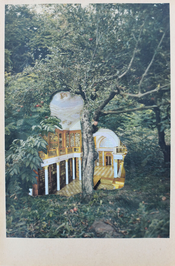 © Kíra Krász