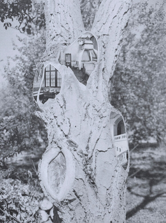 © Kíra Krász