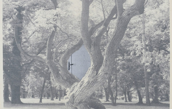 © Kíra Krász