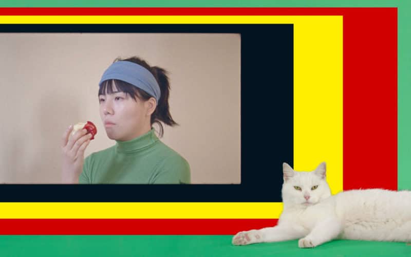 © Chuxun Ran, Une adresse au monde, 2021. Film. Olivier Jonvaux, Be Maybe May, 2021. Film. Design: Dépli Design Studio, Paris.