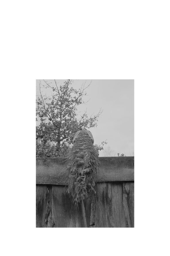 © Marlene Mauer
