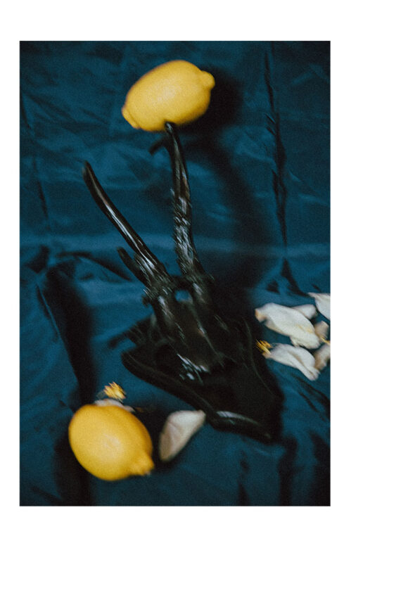 © Marlene Mauer