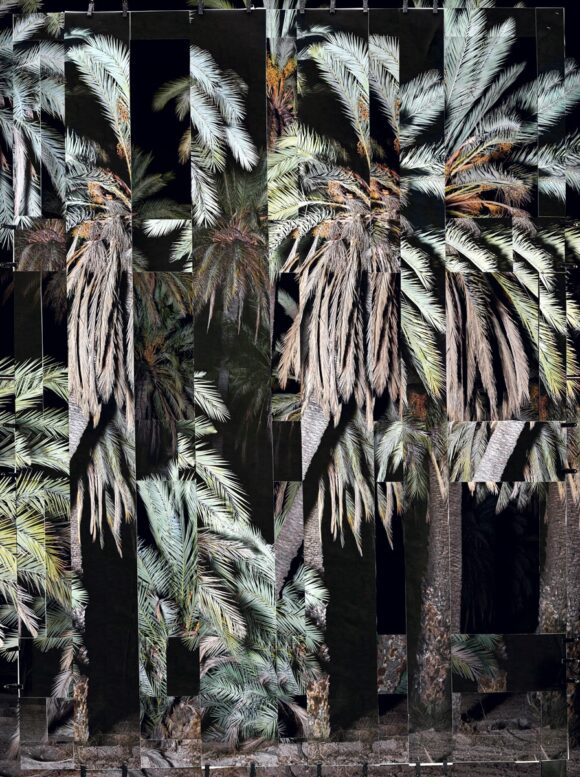 © Noémie Goudal / Galerie Les Filles du Calvaire