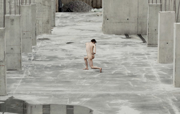 © Paul D’Arcangela