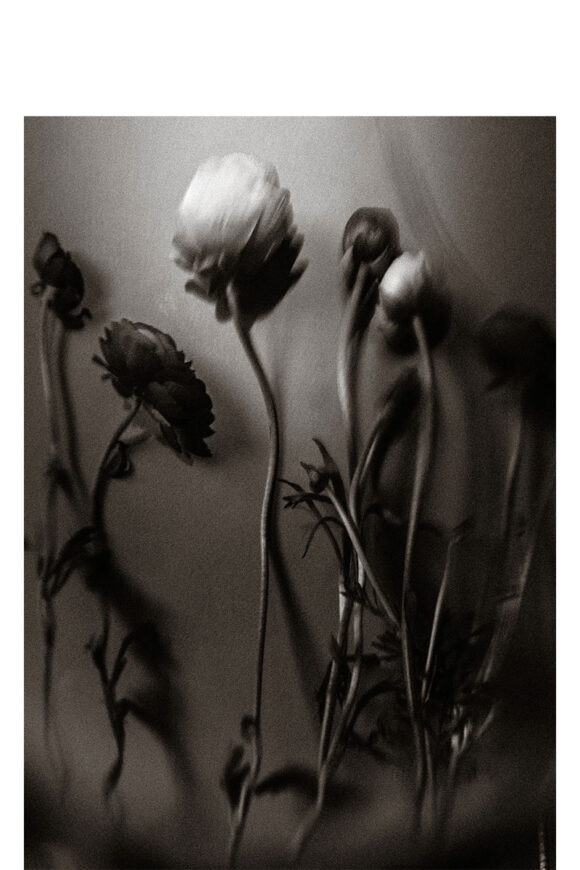 © Georgia Kontodimou