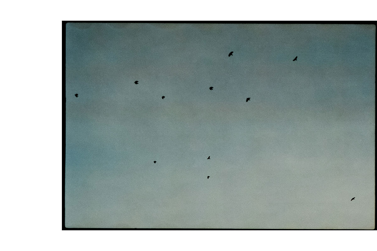 © Georgia Kontodimou
