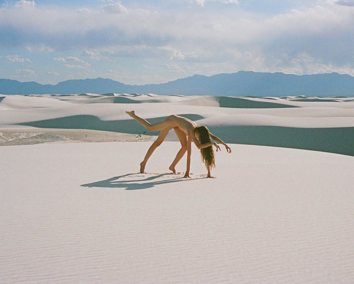 © Synchrodogs / Instagram