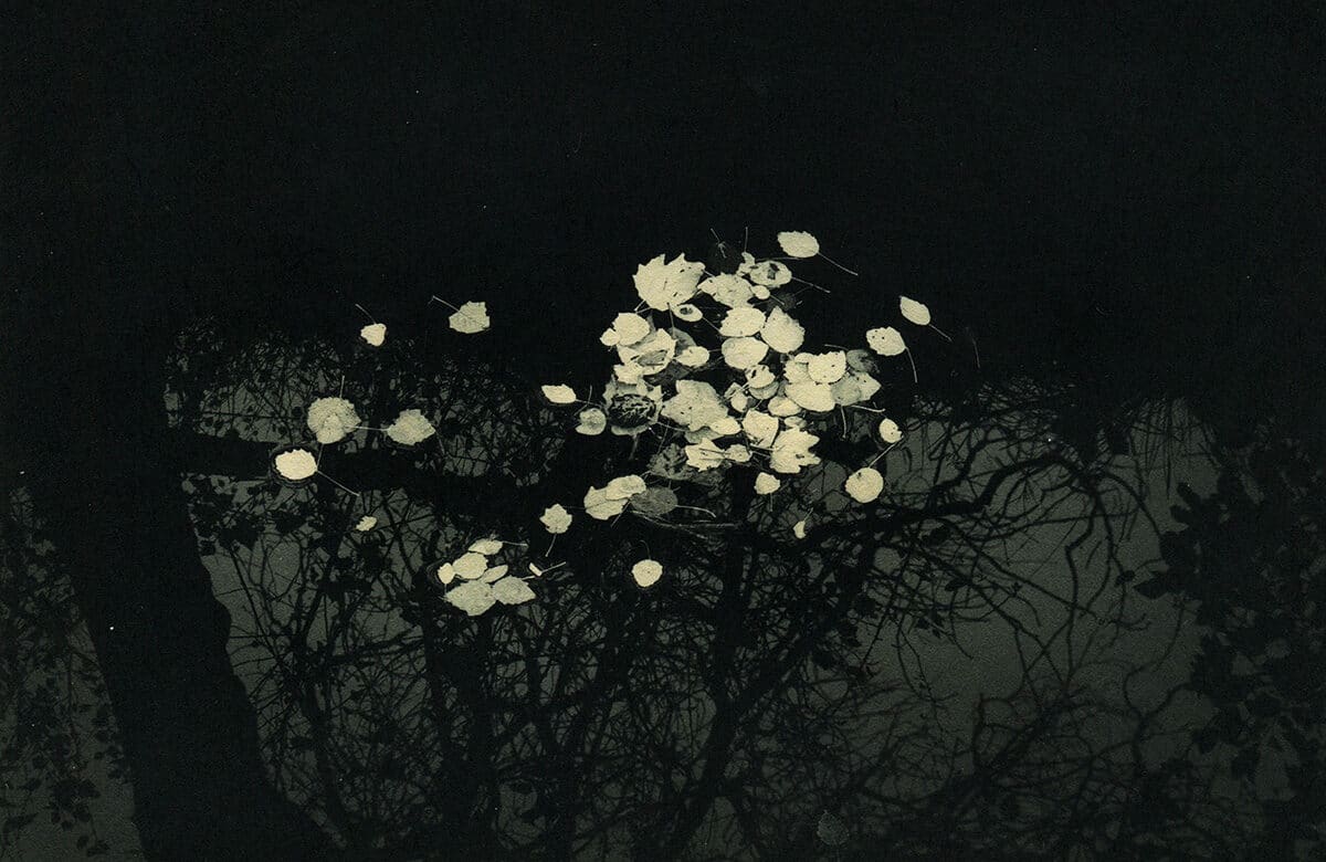 © Antoni Benavente Barbero