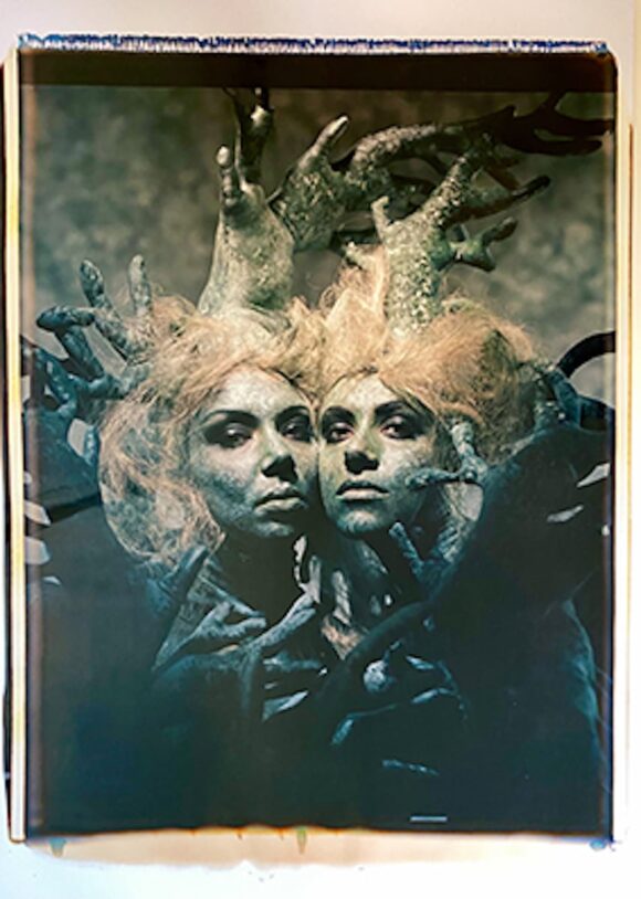 © Hélène Guetary / Galerie Taylor