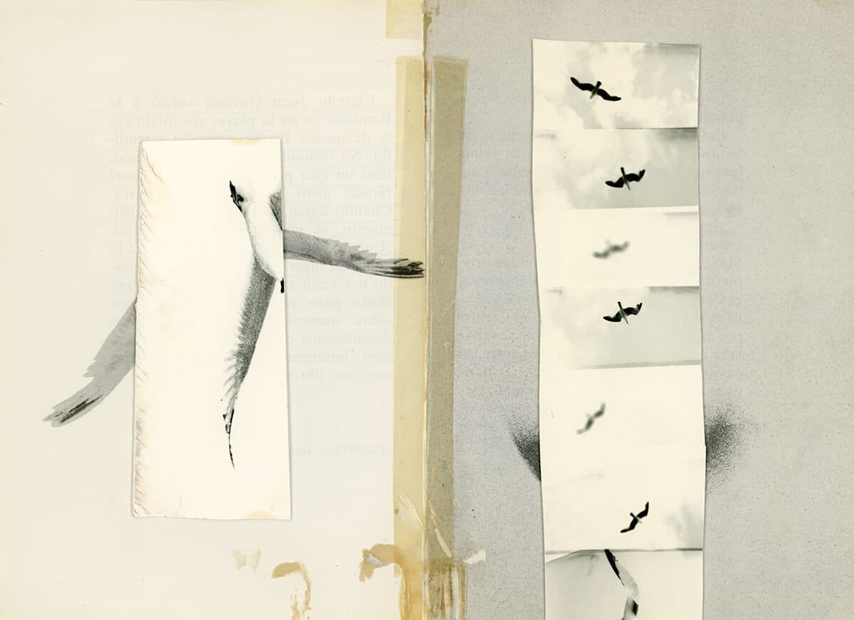 © Irene Zottala