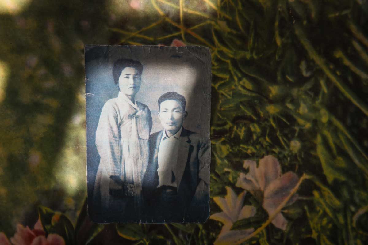 © Noriko Hayashi