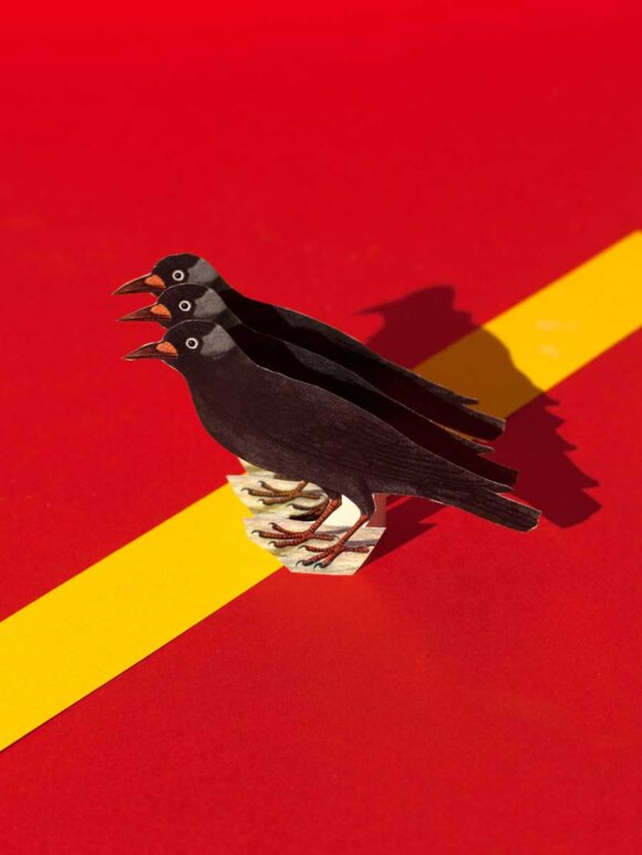 © Federico Ciamei