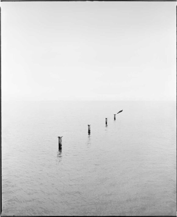 © Mikito Tanaka