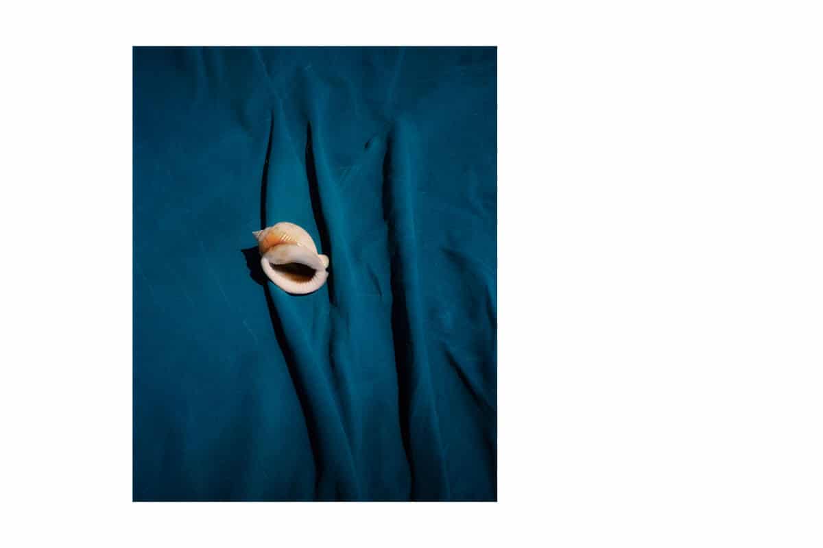 © Riccardo Dubitante