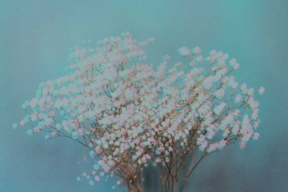 © Aoto Pinku