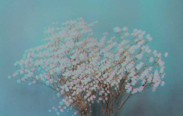 © Aoto Pinku
