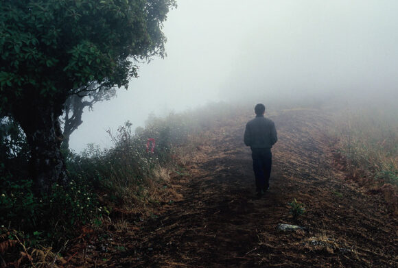 © Apichatpong Weerasethakul