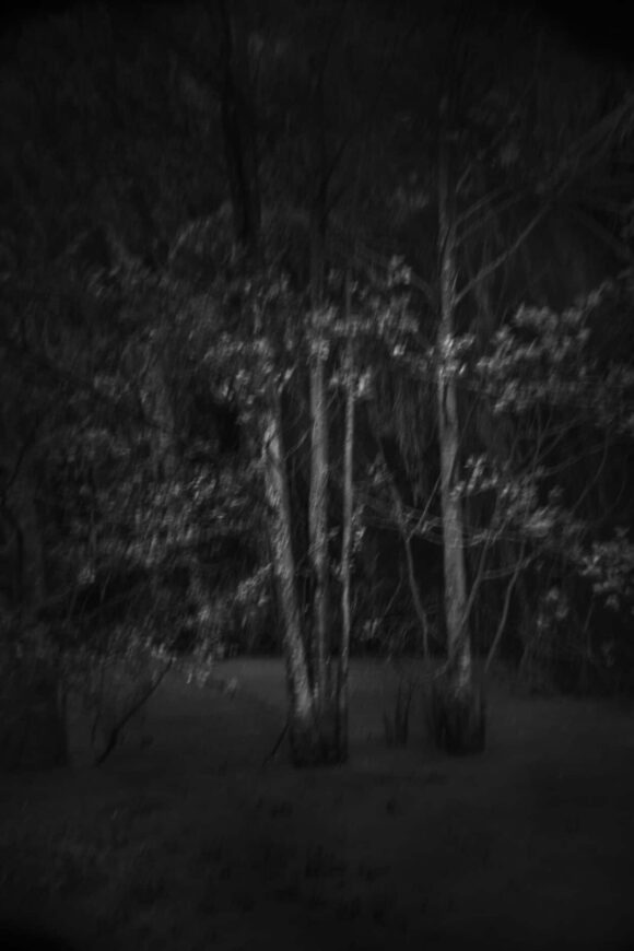 © Chrisitine Delory-Momberger