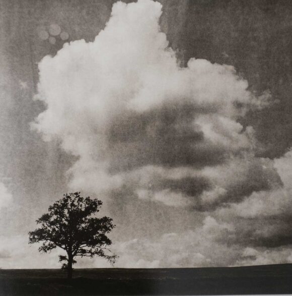 © Christian Vallée