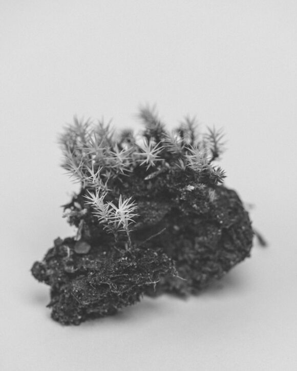 © Jaakko Kahilaniemi