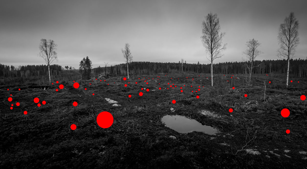 © Jaakko Kahilaniemi