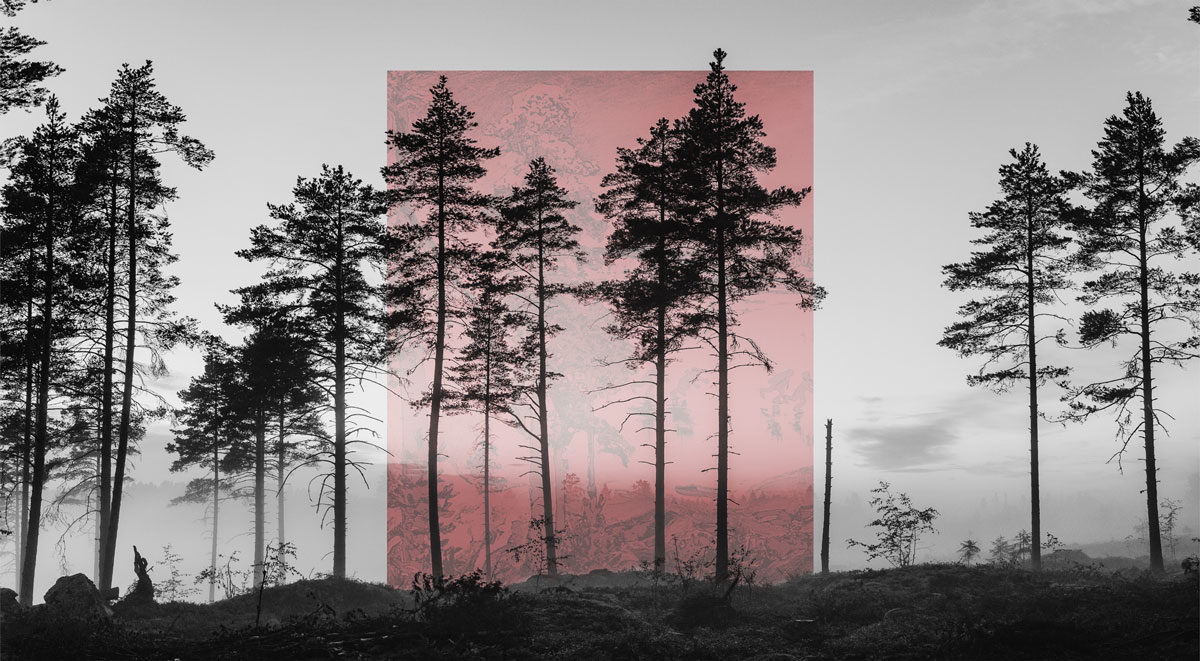 © Jaakko Kahilaniemi
