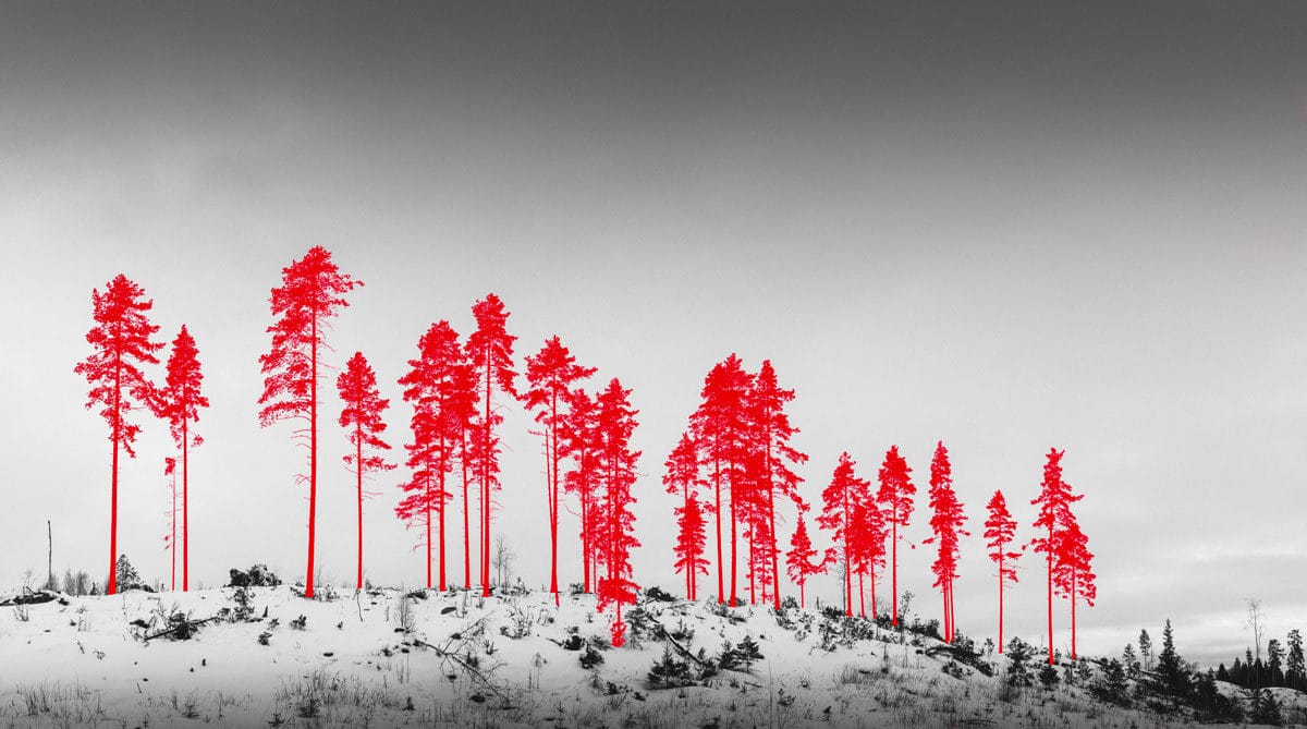 © Jaakko Kahilaniemi