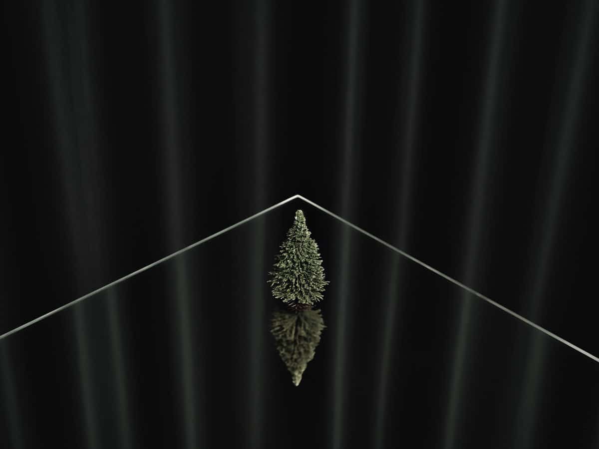 © Jaakko Kahilaniemi