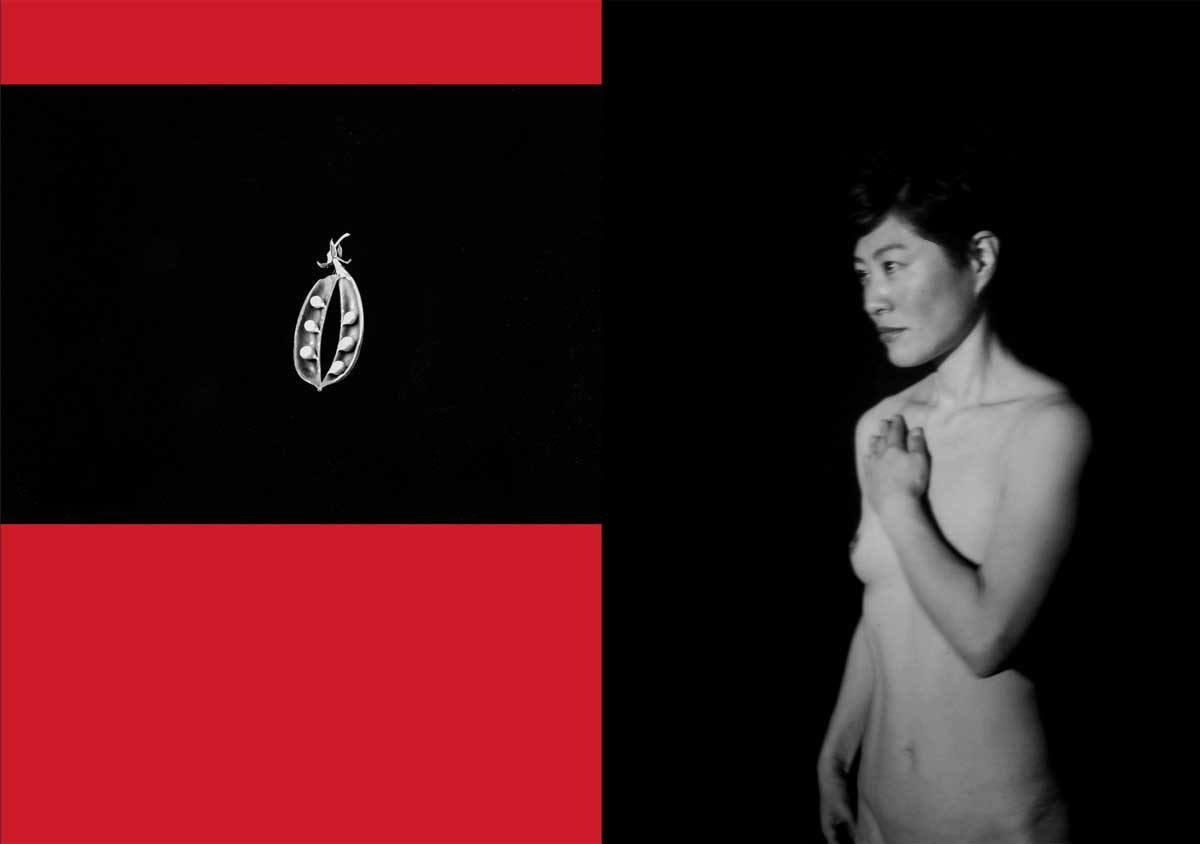 © Mayumi Suzuki