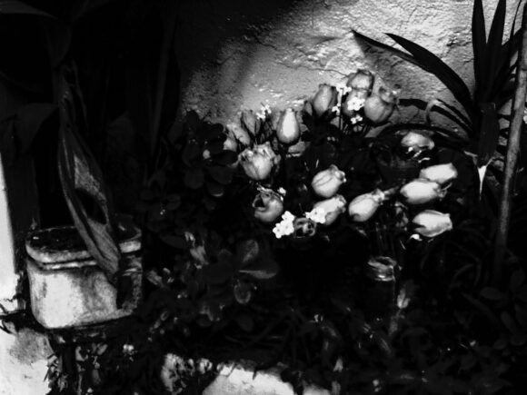 © Brigitte Manoukian