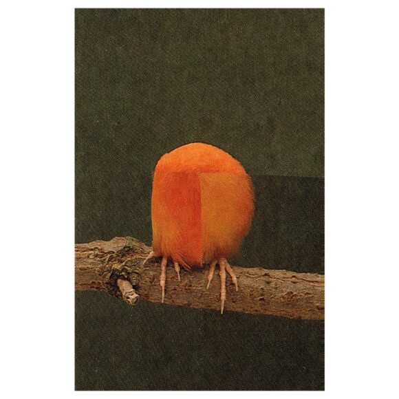 © Isabel Reitemeyer