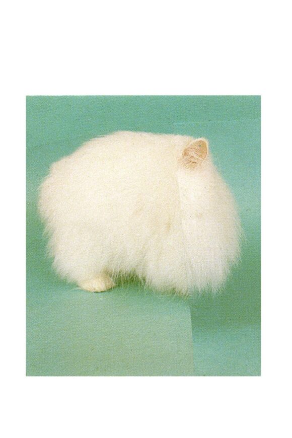 © Isabel Reitemeyer