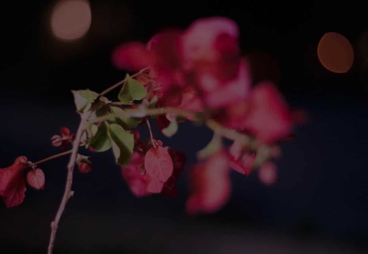 © Nora Hollstein